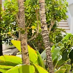 Apartment Garden Private Costa Adeje *