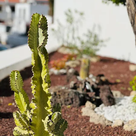 Garden Private Costa Adeje Appartement *