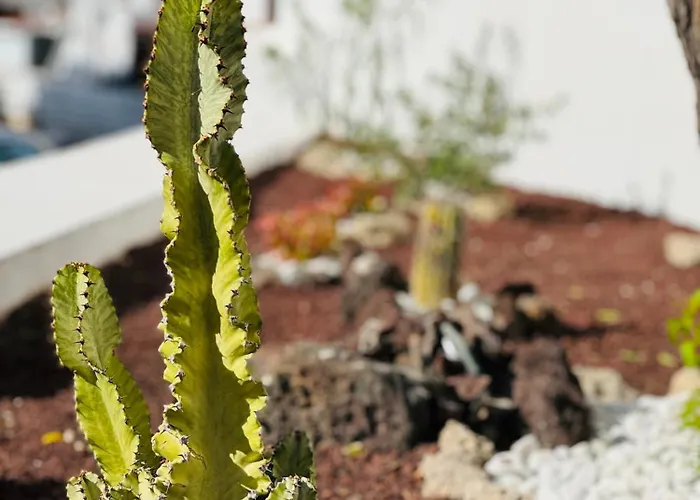 Garden Private Costa Adeje 公寓 *