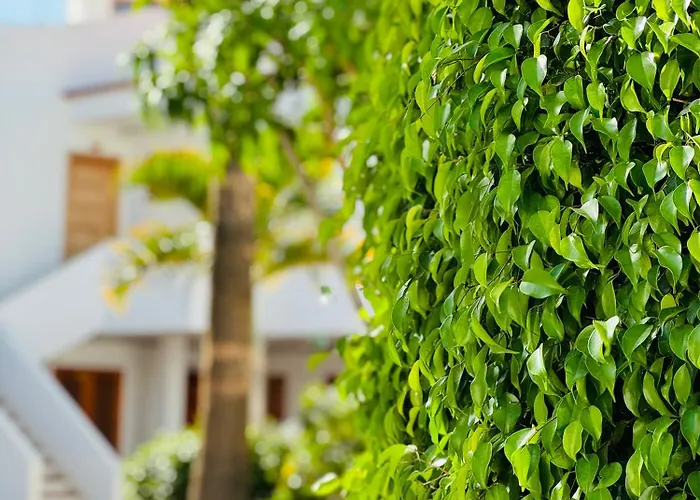Garden Private Costa Adeje 公寓