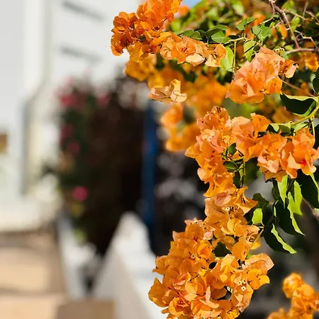 Garden Private Costa Adeje