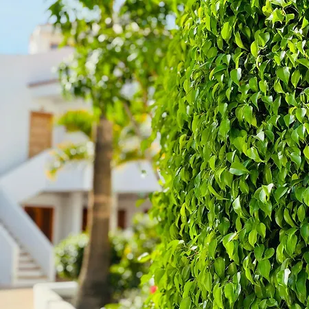 Garden Private Costa Adeje Apartmán