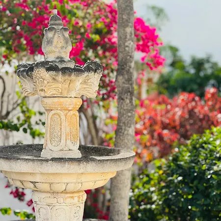 Apartmán Garden Private Costa Adeje *