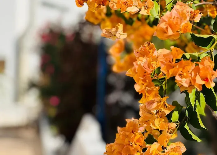 Garden Private Costa Adeje