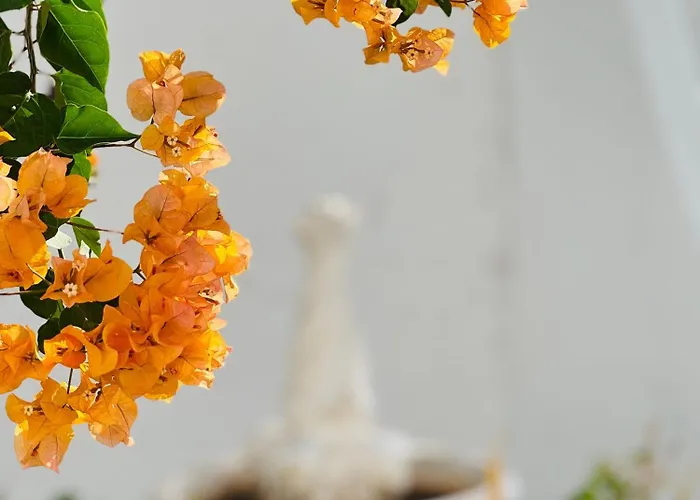 Garden Private Costa Adeje * Playa Feñabe