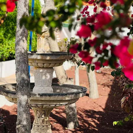 アパート Garden Private Costa Adeje