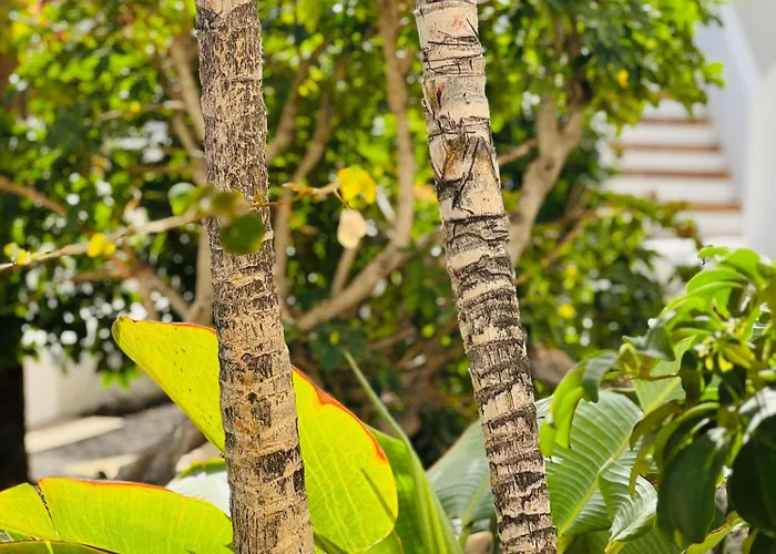 Appartamento Garden Private Costa Adeje *